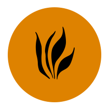 PATROCINADOR DE BRONCE