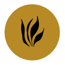 PATROCINADOR DE ORO