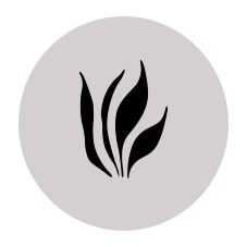 PATROCINADOR DE PLATINO